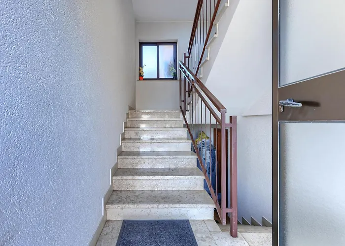 Zoki 2 By Interhome Lejlighed