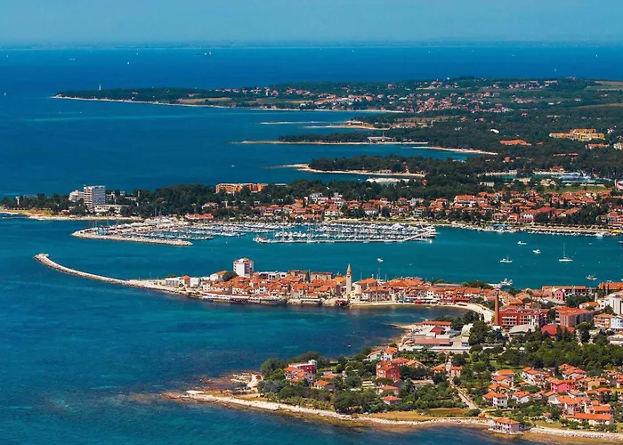 Zoki 2 By Interhome Lejlighed