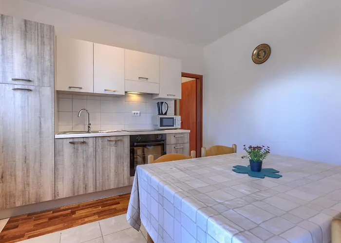 Zoki 2 By Interhome Lejlighed